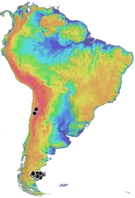 South America Projects